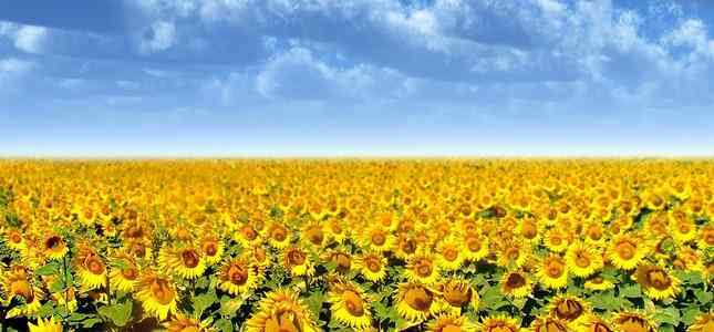 国内免备案cdn（香港CDN）