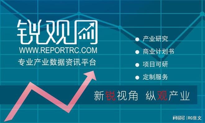 2023-2029年中国CDN服务行业市场运行格局及发展策略分析报告