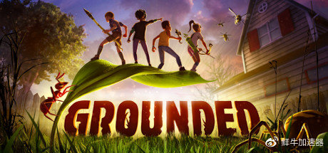 【限免】免费加速STEAM微观世界游戏《禁闭求生 Grounded》插图