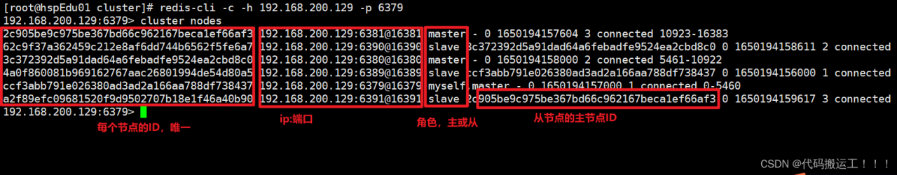 redis集群（Cluster）