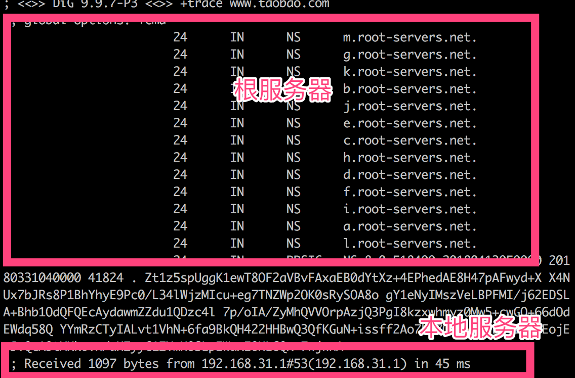 简单谈谈DNS的工作原理及实践