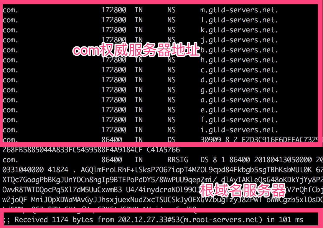 简单谈谈DNS的工作原理及实践