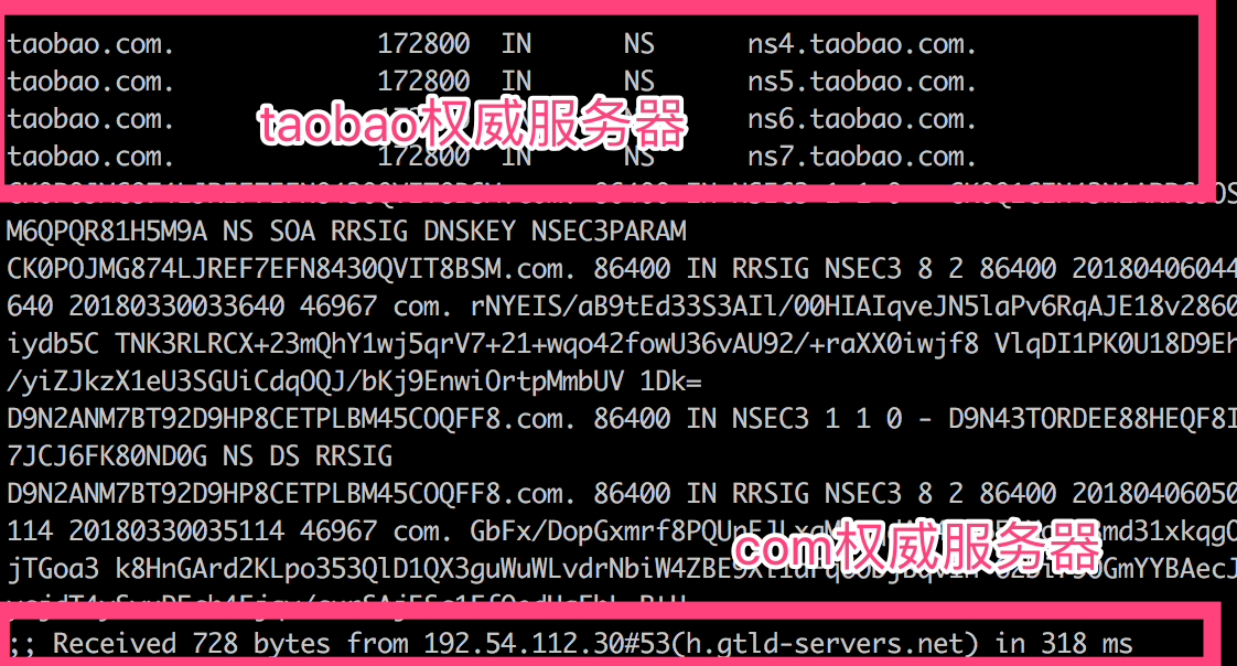 简单谈谈DNS的工作原理及实践