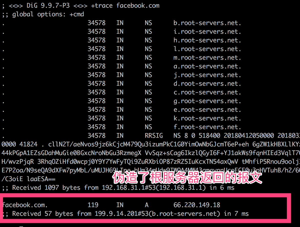 简单谈谈DNS的工作原理及实践