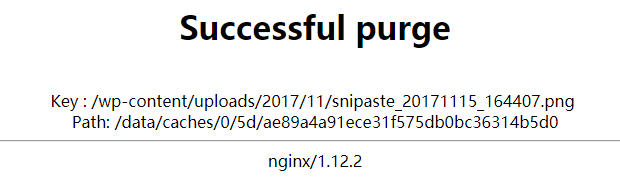 Nginx自建CDN以及ngx_cache_purge清除缓存