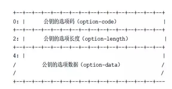 基于隐私保护技术的DNS通信协议介绍基于隐私保护技术的DNS通信协议介绍