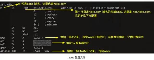 一文搞懂 DNS 基础知识，收藏起来有备无患~