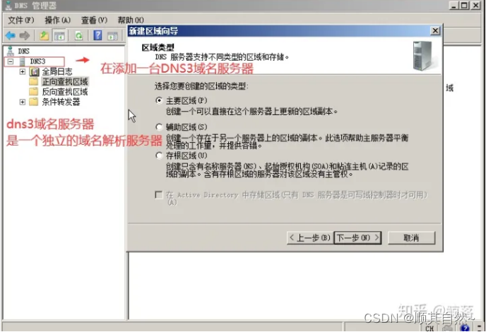 Windows server DNS服务器配置与管理
