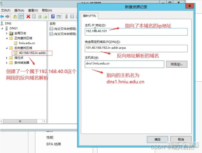 Windows server DNS服务器配置与管理