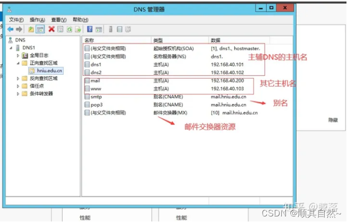 Windows server DNS服务器配置与管理