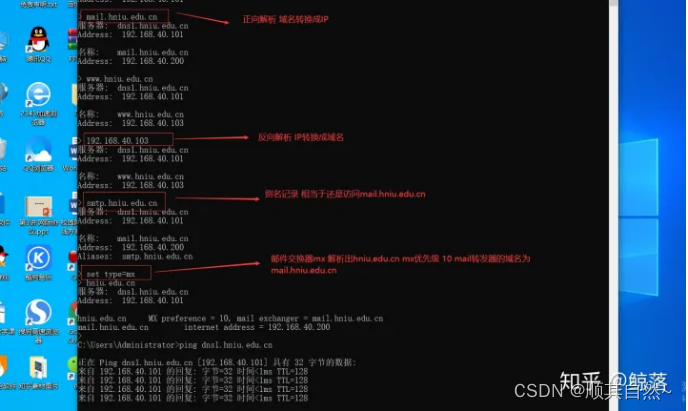 Windows server DNS服务器配置与管理
