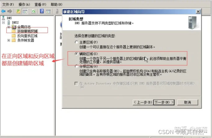Windows server DNS服务器配置与管理