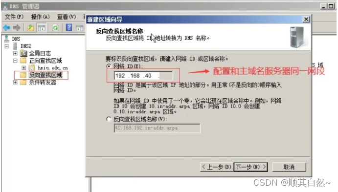 Windows server DNS服务器配置与管理