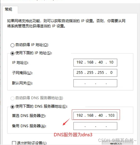 Windows server DNS服务器配置与管理