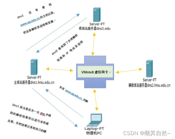 Windows server DNS服务器配置与管理