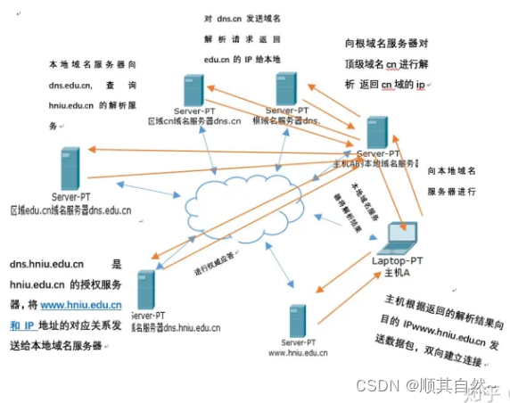 Windows server DNS服务器配置与管理