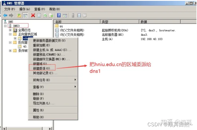 Windows server DNS服务器配置与管理