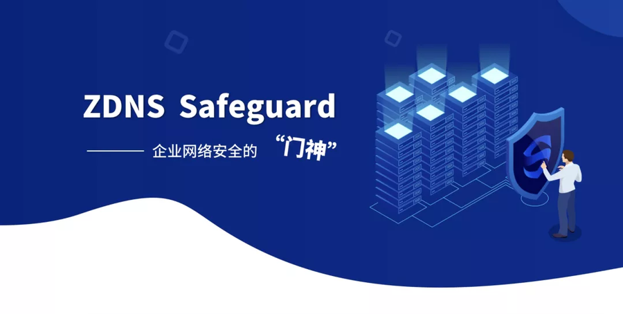 精准针对DNS“盲点”，守护网络安全第一关 