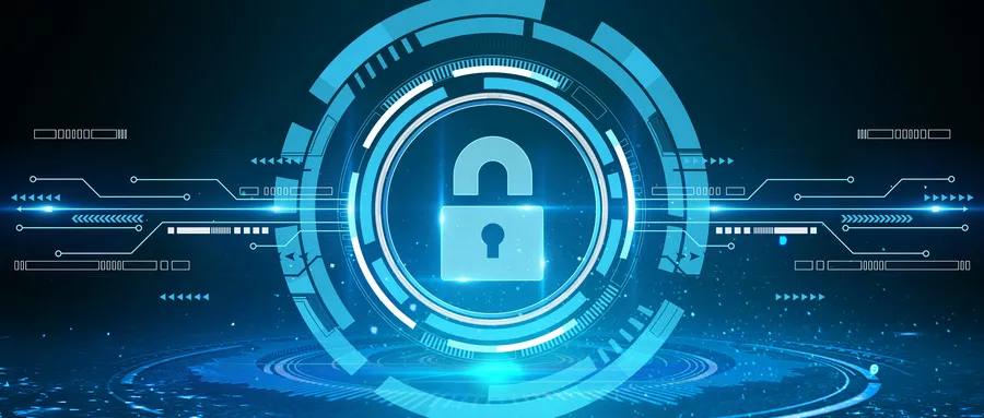 精准针对DNS“盲点”，守护网络安全第一关 