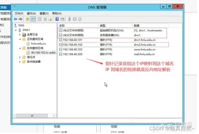 Windows server DNS服务器配置与管理