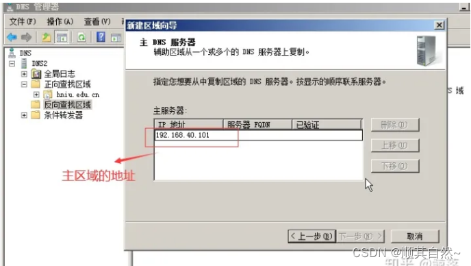 Windows server DNS服务器配置与管理