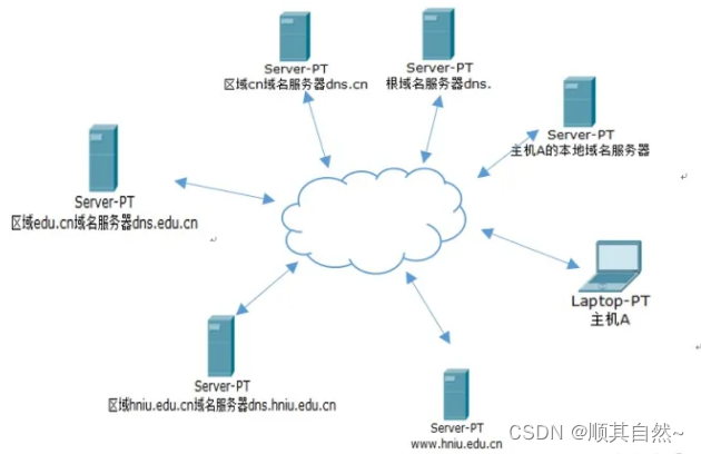 Windows server DNS服务器配置与管理