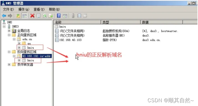 Windows server DNS服务器配置与管理