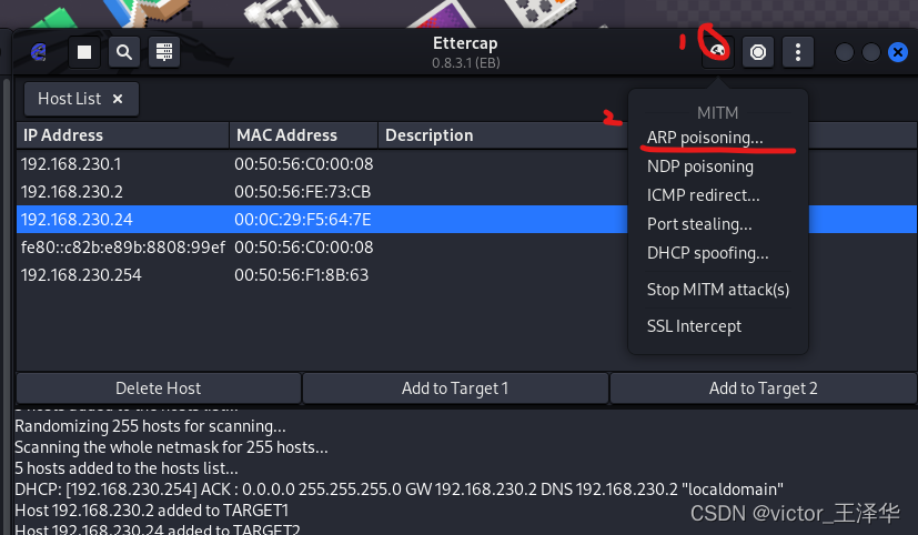 DNS欺骗-教程详解
