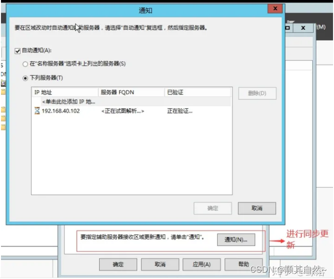 Windows server DNS服务器配置与管理