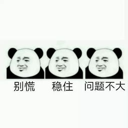 SEO是什么意思？新手怎么快速上手赚钱！插图18