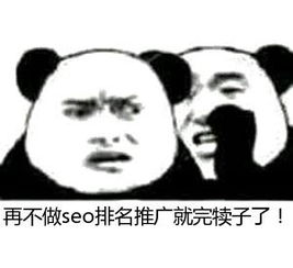 SEO是什么意思？新手怎么快速上手赚钱！插图14