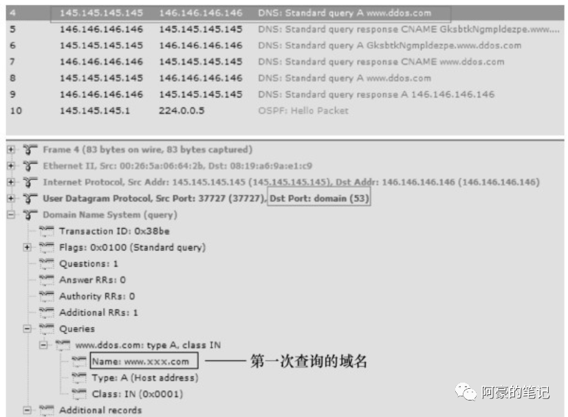 常见的DNS攻击与相应的防御措施
