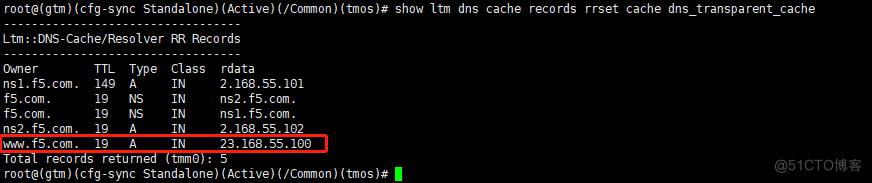 image-20220125133730619