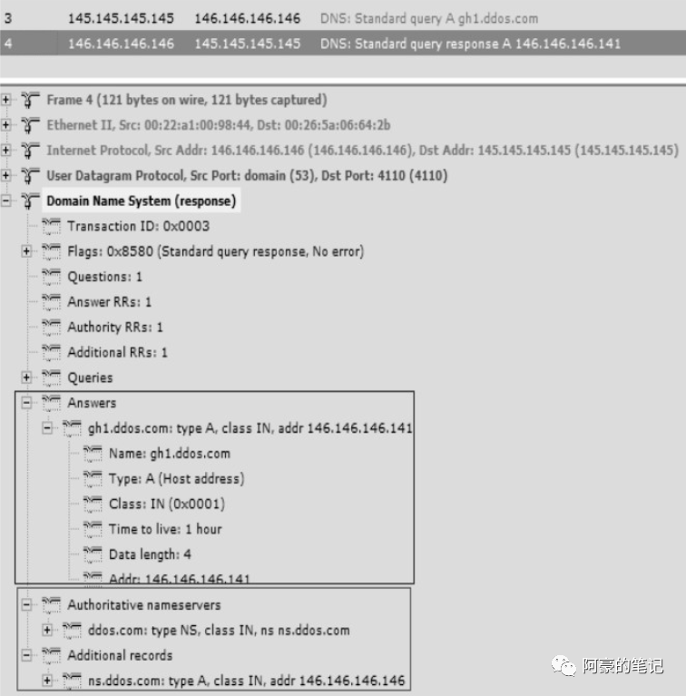 常见的DNS攻击与相应的防御措施