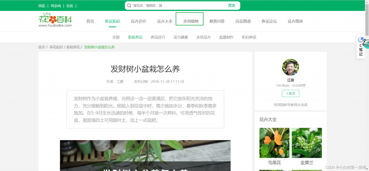 SEO百度搜索引擎优化30min了解网站排名