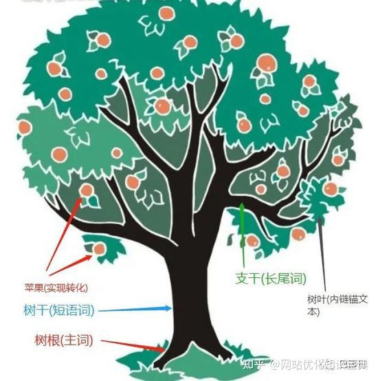 SEO教程：如何优化长尾关键词达到快速排名(干货)插图