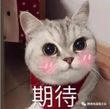 干货满满：SEO技能点满第一期插图