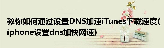 教你如何通过设置DNS加速iTunes下载速度(iphone设置dns加快网速)