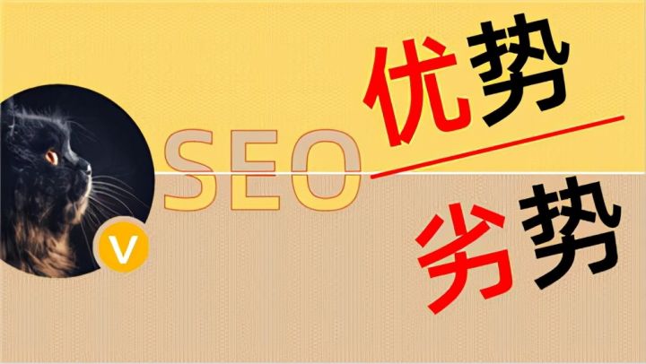 SEO流量分析：SEO的优势与劣势插图
