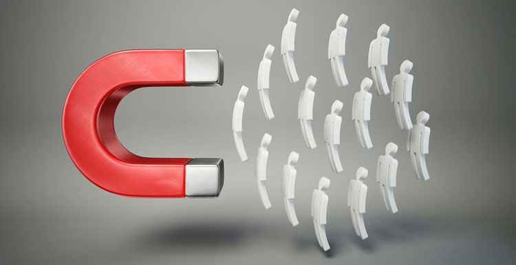 关于Seo新手如何去开展新站的优化工作，八点总结。插图