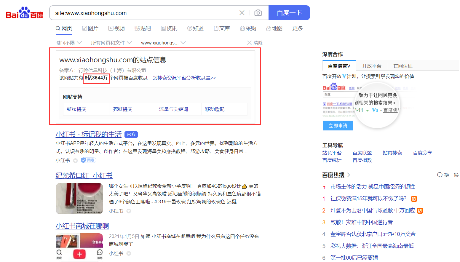 搜索引擎优化(SEO)