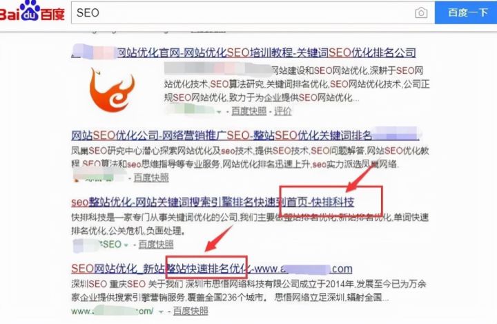 SEO快排是什么、原理、如何判断及应对插图4
