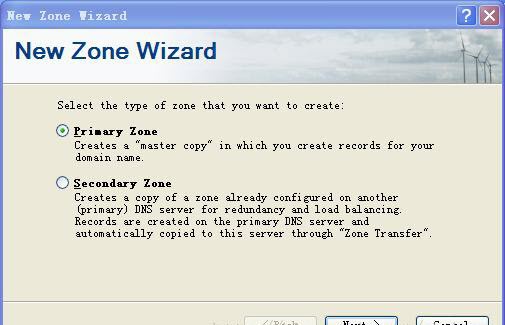 Simple DNS Plus绿色版