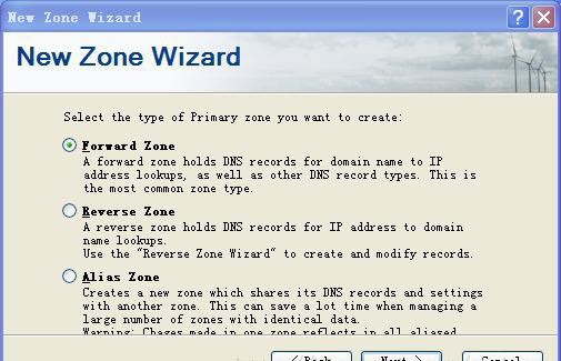Simple DNS Plus绿色版