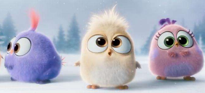 懵懂的程序员们