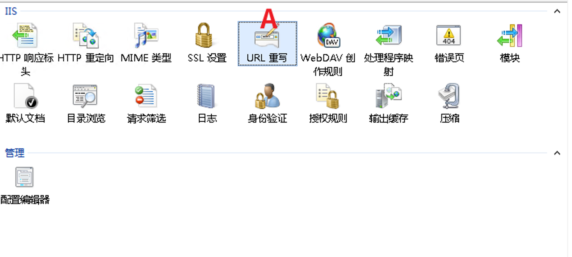 利用IIS的反向代理模块，实现类似镜像站的效果